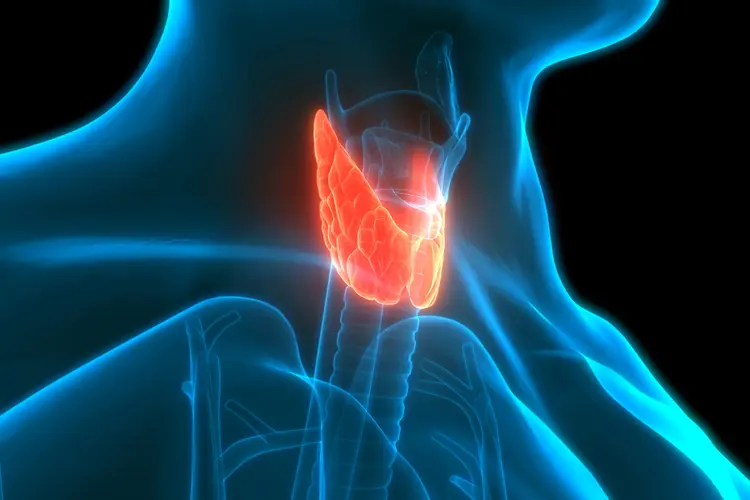 Doctor examining the thyroid gland in the neck