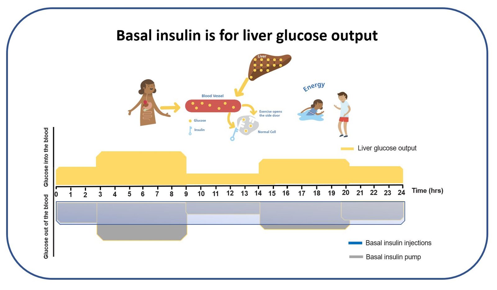 Basal Insulin