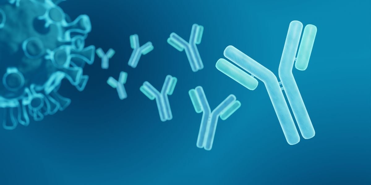 GAD Antibody