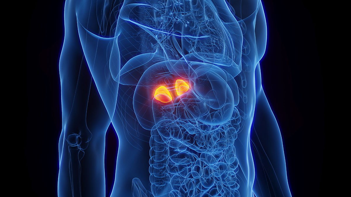 Adrenal Nodules Medical Chart