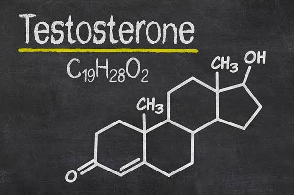 Testosterone Panel