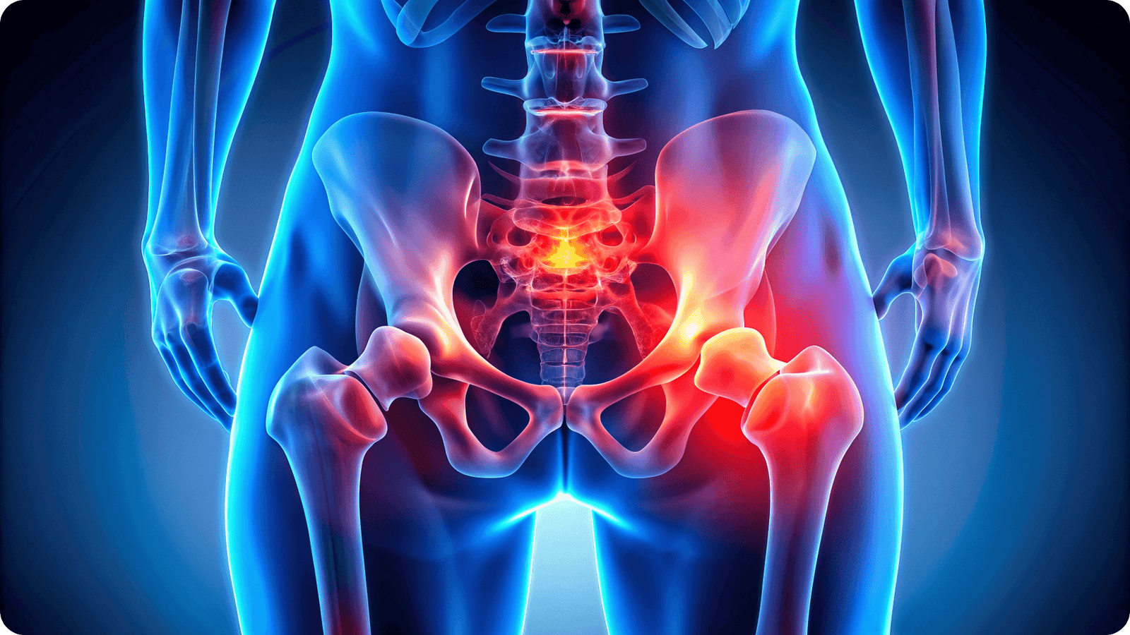 Medical visualization representing bone and mineral health