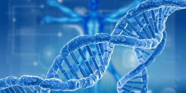Genetic and Other Factors